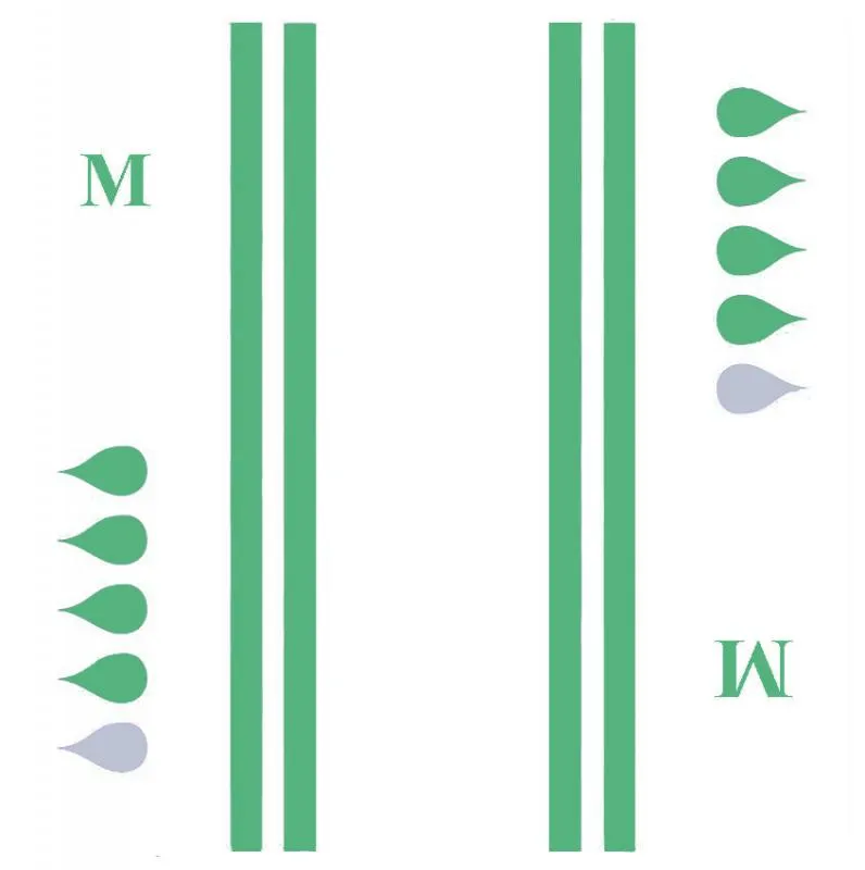 622_3.webp